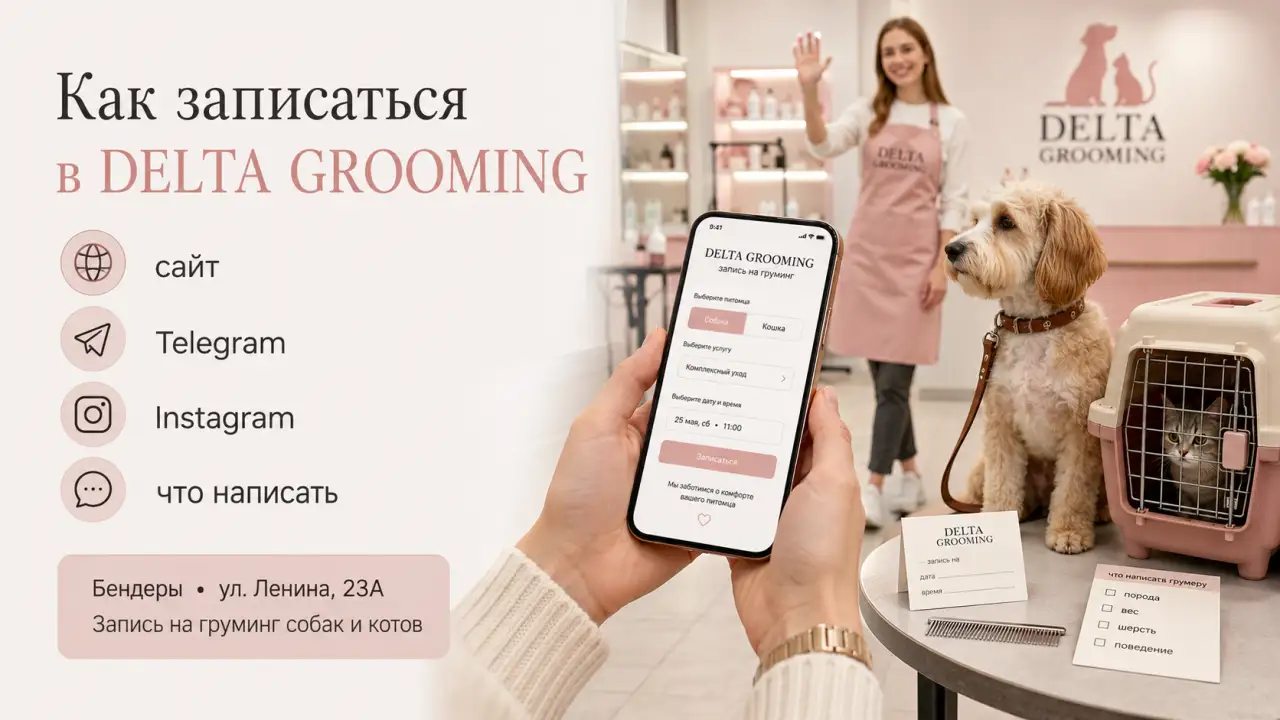 Обложка статьи как записаться в DELTA GROOMING Бендеры