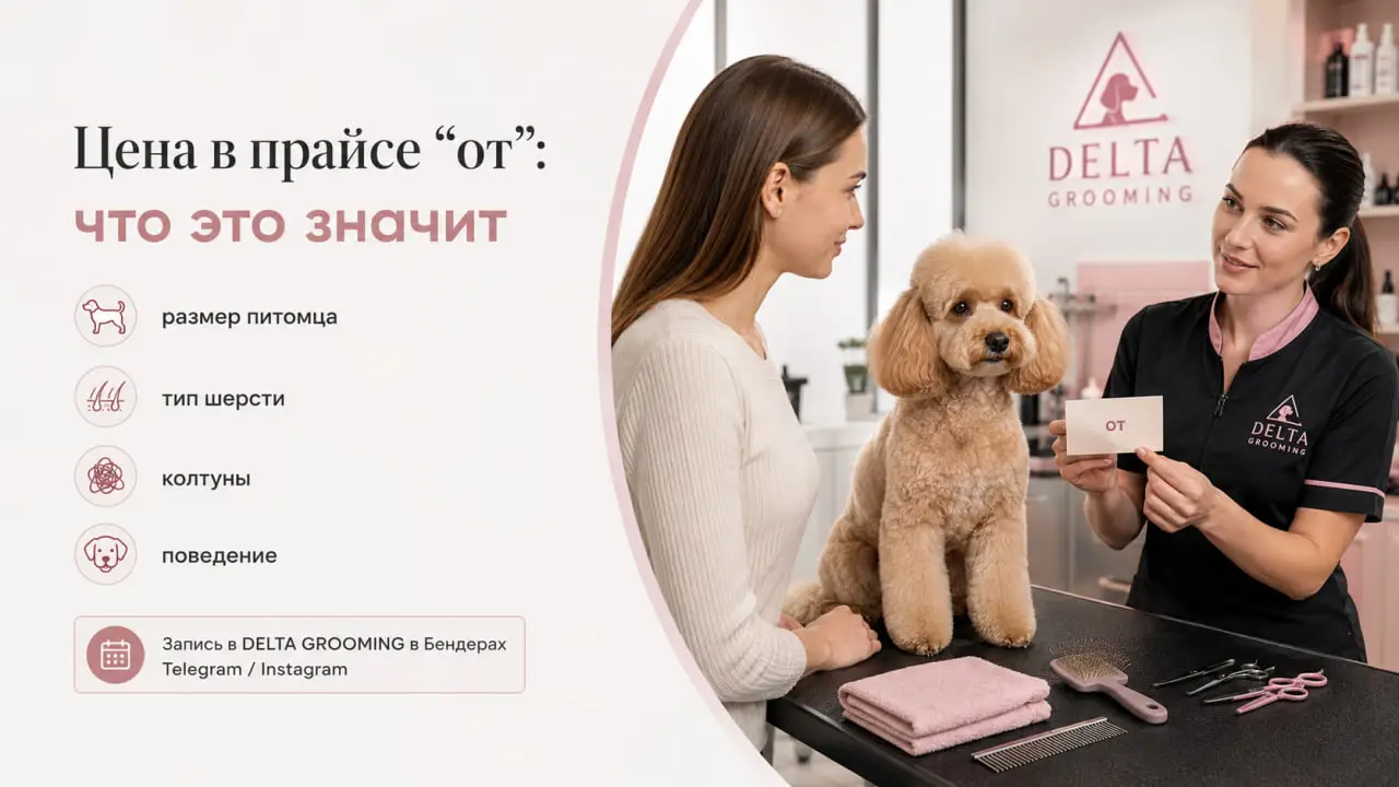 Обложка статьи почему цена груминга указана от в DELTA GROOMING Бендеры
