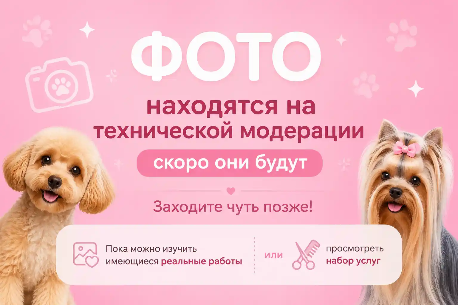 Шерсть, лапы и гигиена