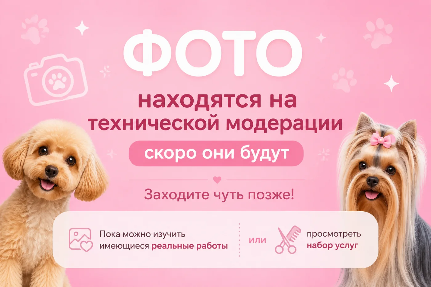 Стрижка спаниеля в DELTA GROOMING Бендеры